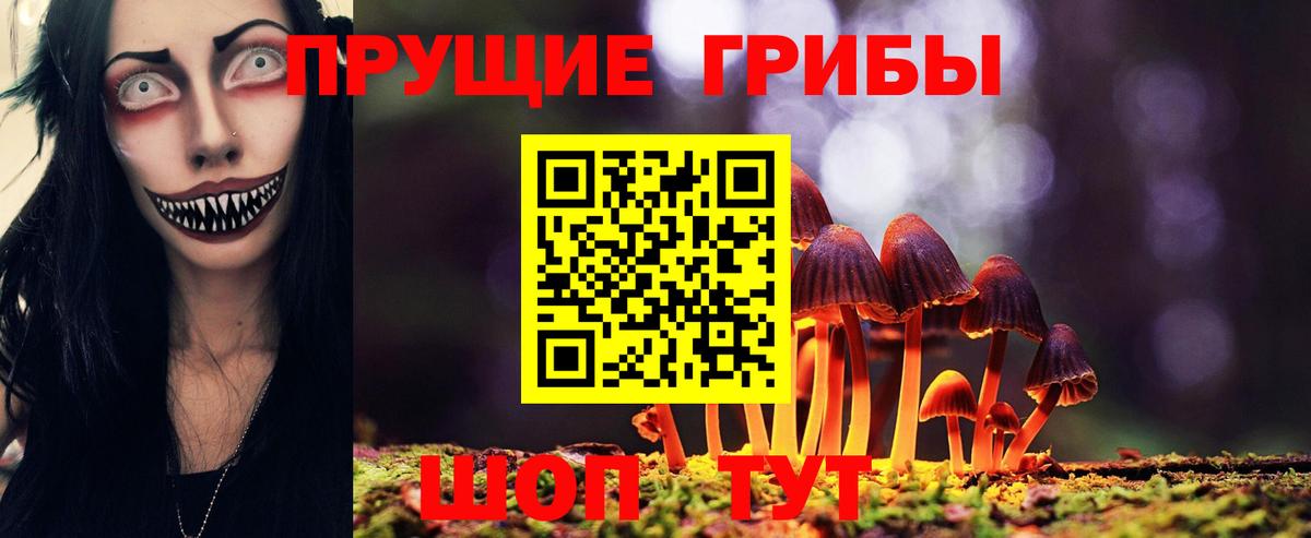 наркотики  Псилоцибиновые грибы мицелий  Вход с VPN  Люберцы  Галлюциногенные грибы MAGIC MUSHROOMS 